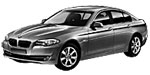 BMW F10 P2699 Fault Code